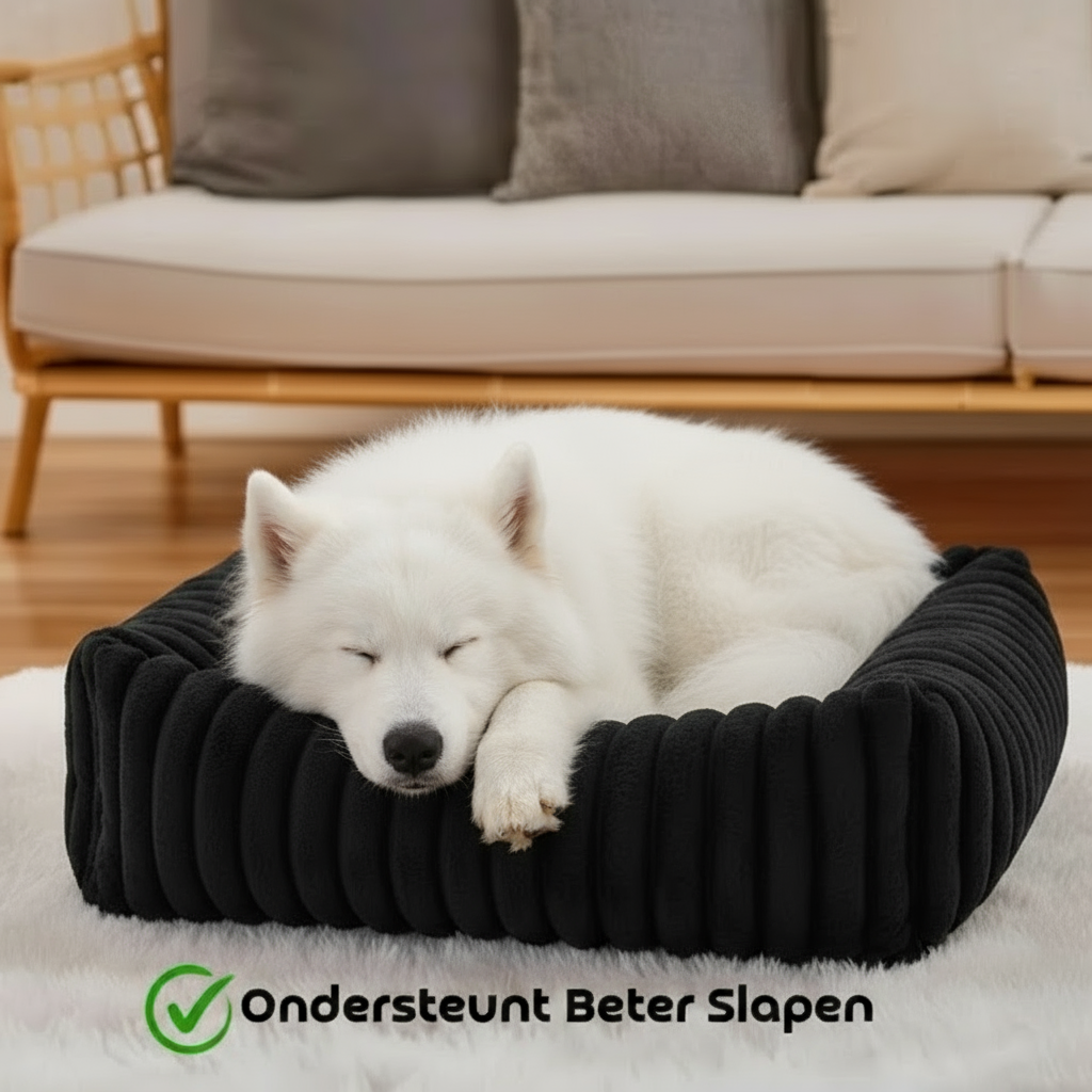 Orthopedisch Bolsterbed – Perfect zowel voor hond als kat.